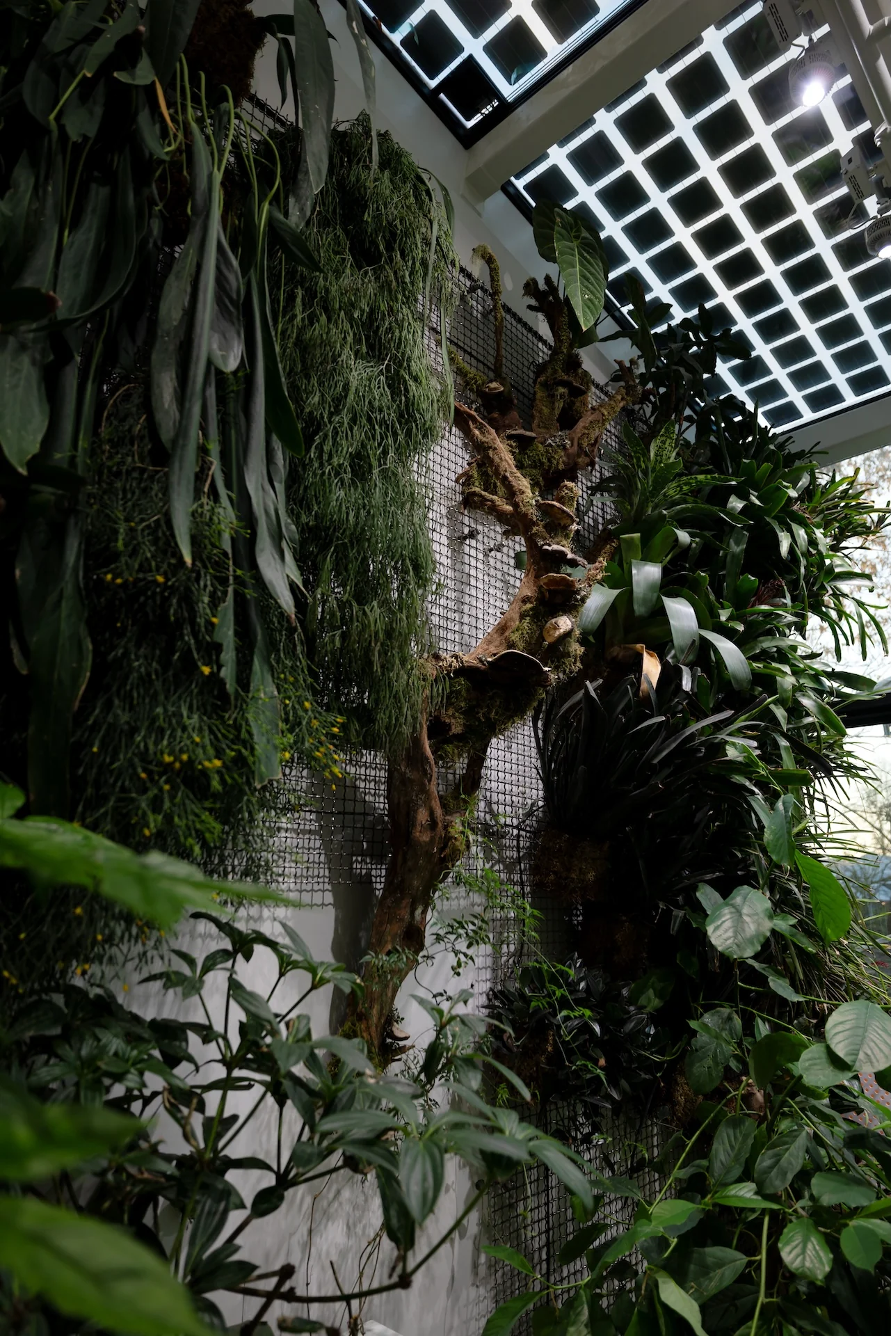 Cascada Wellness Sanctuary Exterior